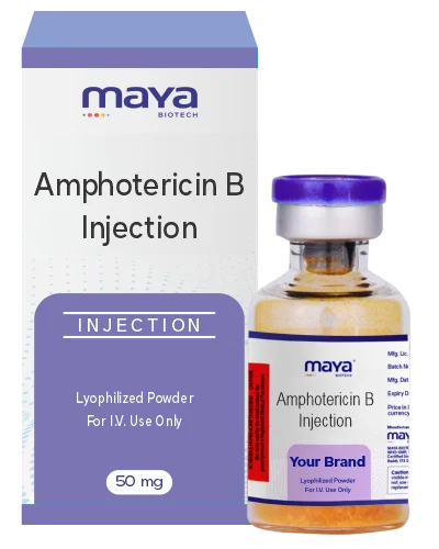 Amphotericin B Injection