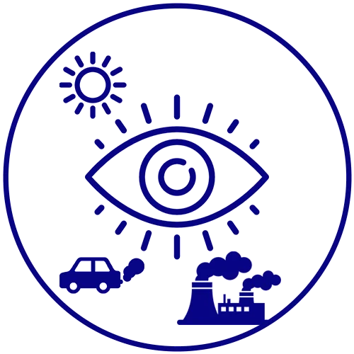 Environmental Causes